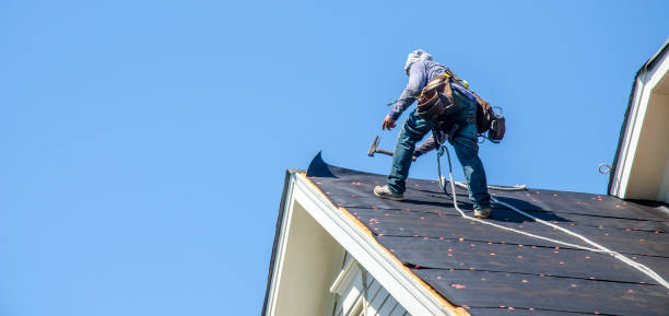 Best Roof Gutter Cleaning  in Bridgetown, OH